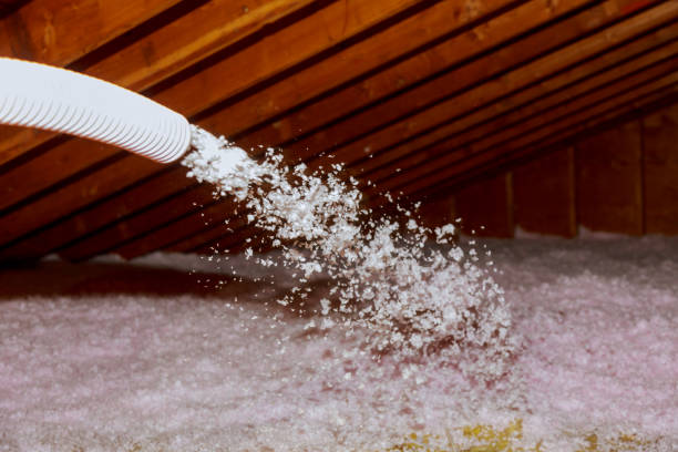 Best Cellulose Insulation in Springfield, KY