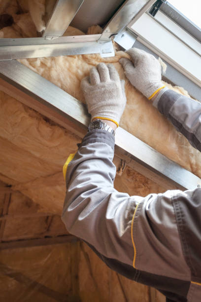 Best DIY Insulation Kits and Guidance in Springfield, KY